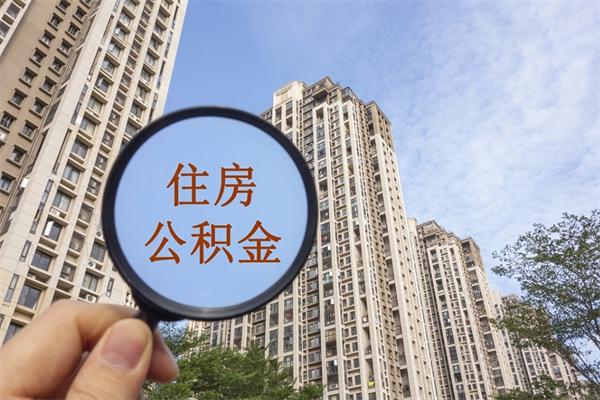 肇州怎么取住房住房公积金（取住房公积金方法）